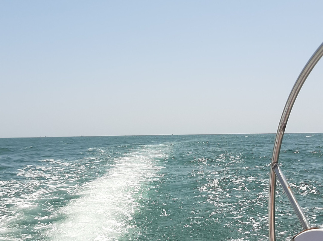 Flyingfish Scuba School-加兰古特必去景点