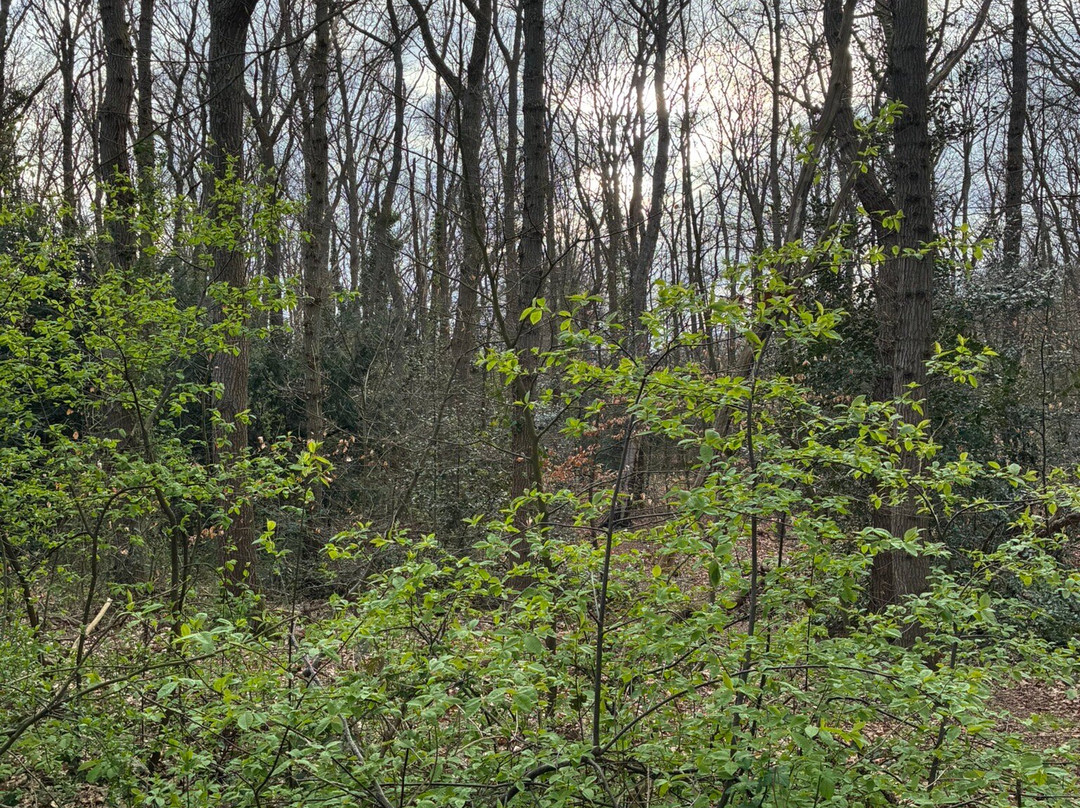 Meester Enschedepark-Bloemendaal必去景点