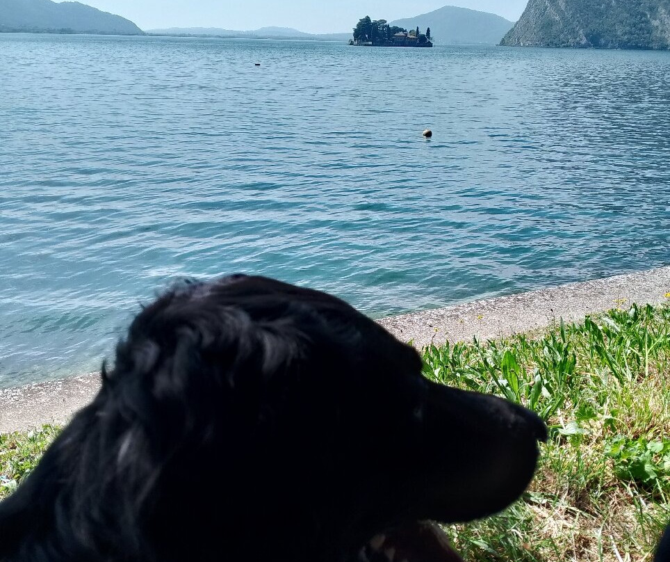 Navigazione Lago d'Iseo-Sulzano必去景点