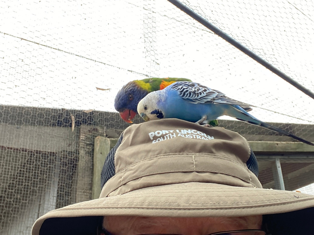 Glen-Forest Tourist Park & Vineyard-Port Lincoln必去景点