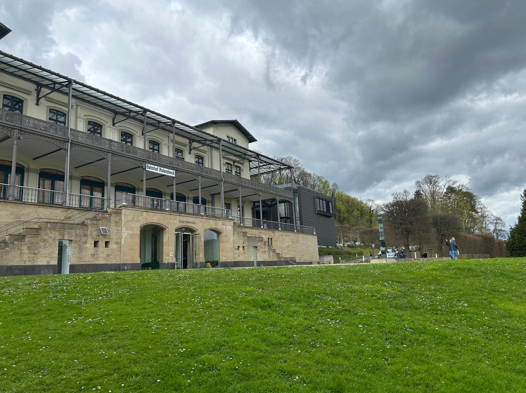 Arp Museum-雷马根必去景点