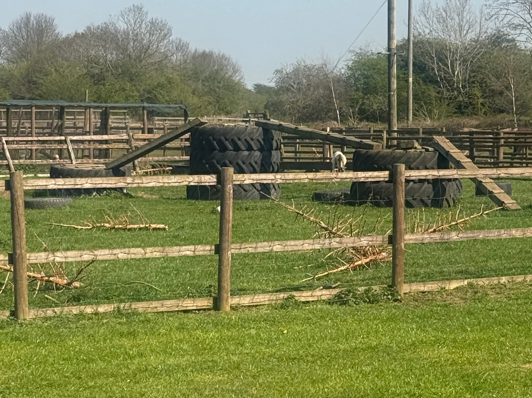 Little Jack's Farm and Garden Centre-Bottesford必去景点