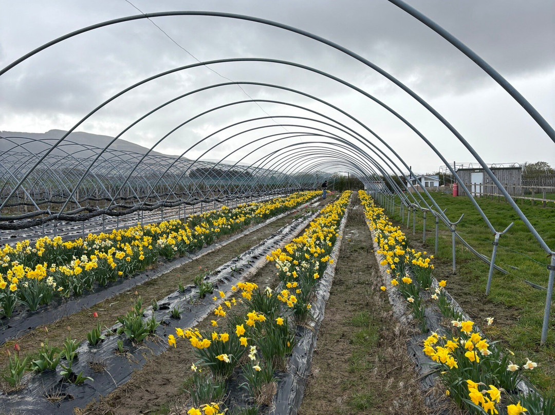 Broadslap Fruit Farm, Farm Shop and Cafe-Dunning必去景点