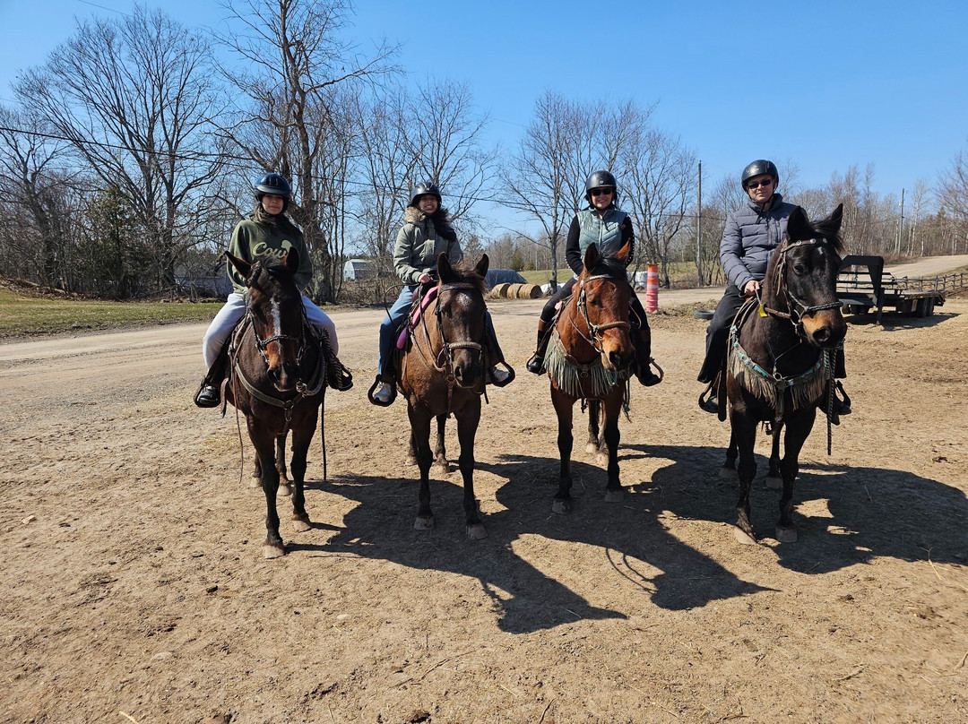Evangeline Trail Rides-Windsor必去景点