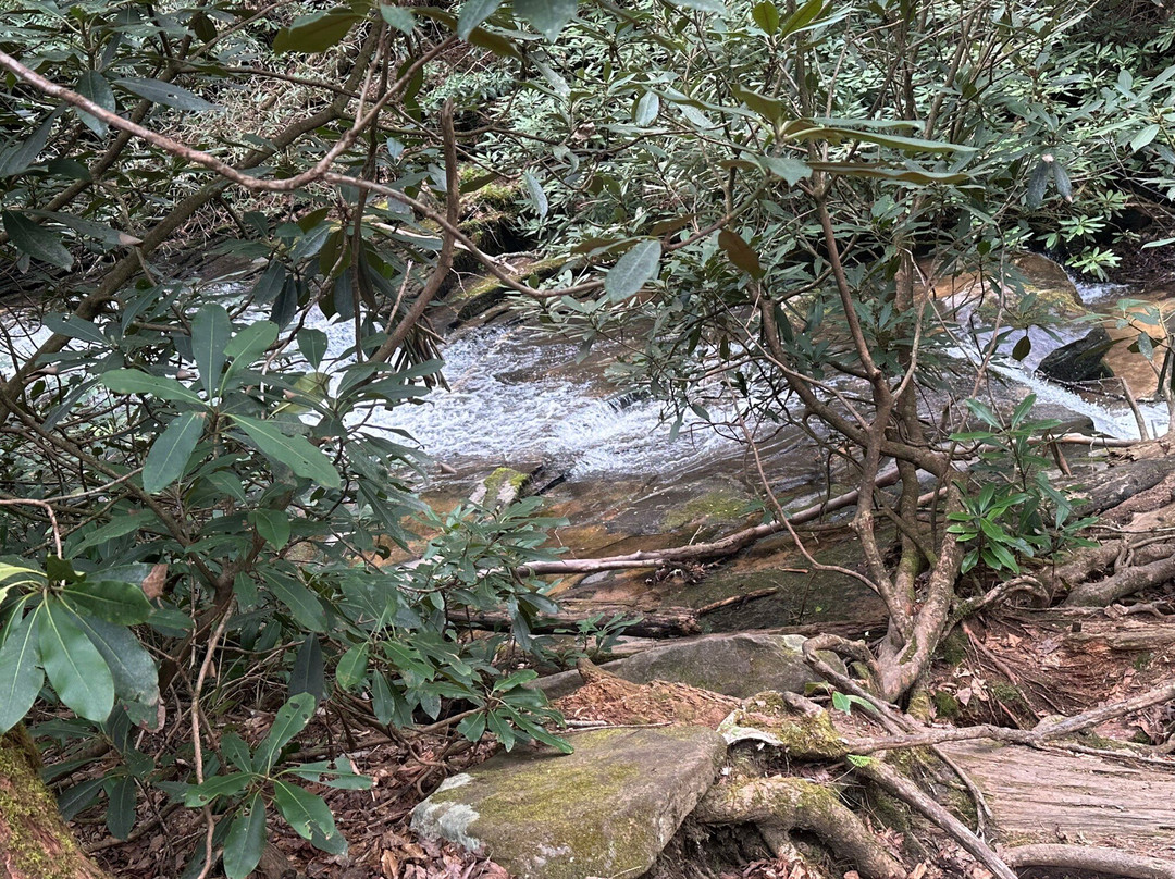 Minnehaha Falls-Lakemont必去景点