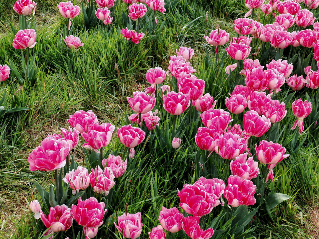 Darts Farm-Clyst Saint George必去景点