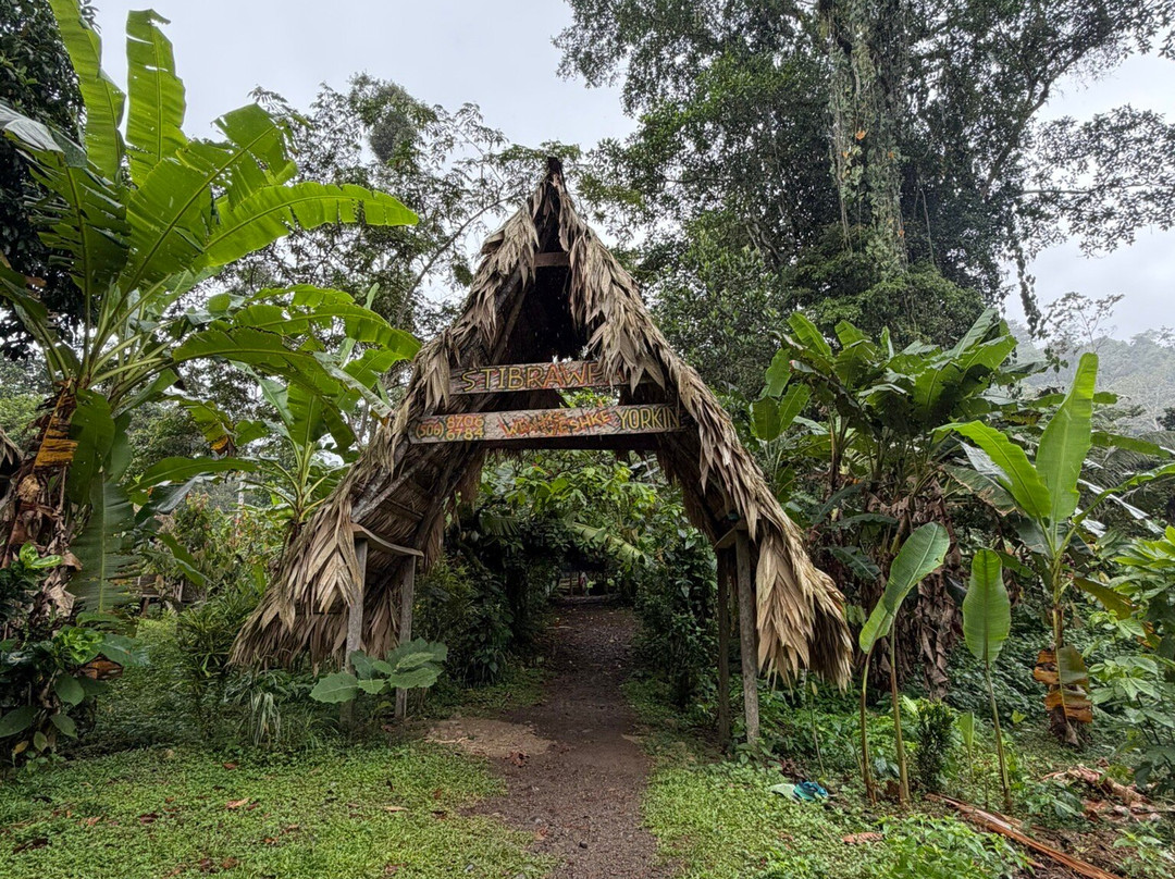 World Evasion-圣何塞必去景点