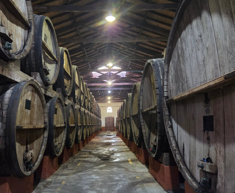 Bodega Goyenechea-圣拉斐尔必去景点