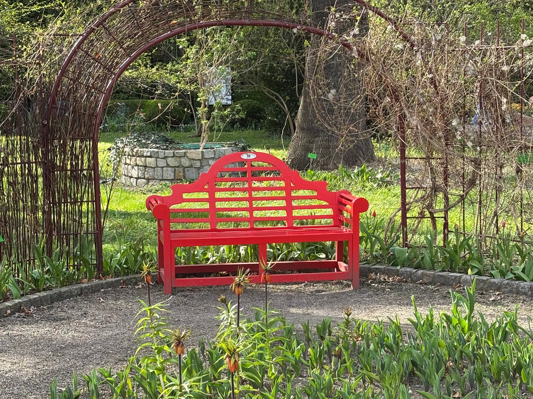 Botanical Garden of the University of Wrocław-弗罗茨瓦夫必去景点