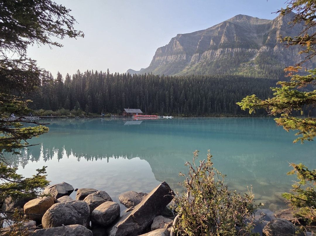 BANFF MADTOURS | Winter Ice Bubble Hunt Tours