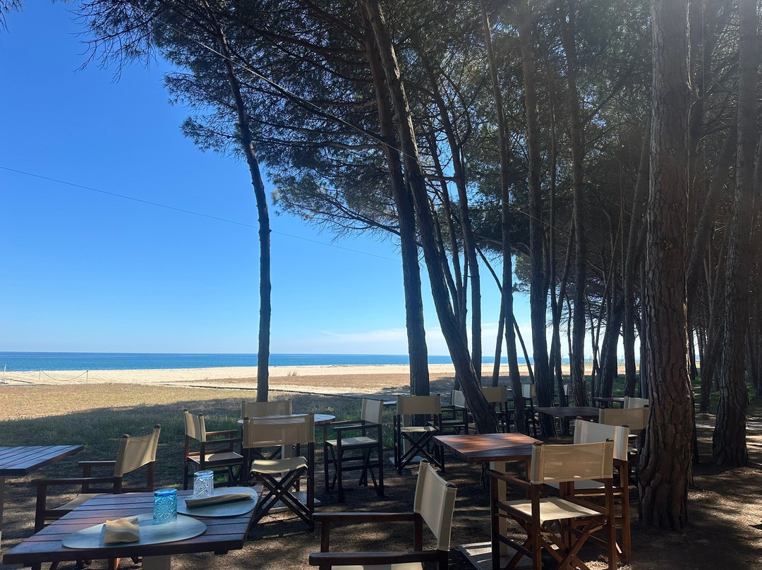 科尔特比安卡酒店-博维酒店主图