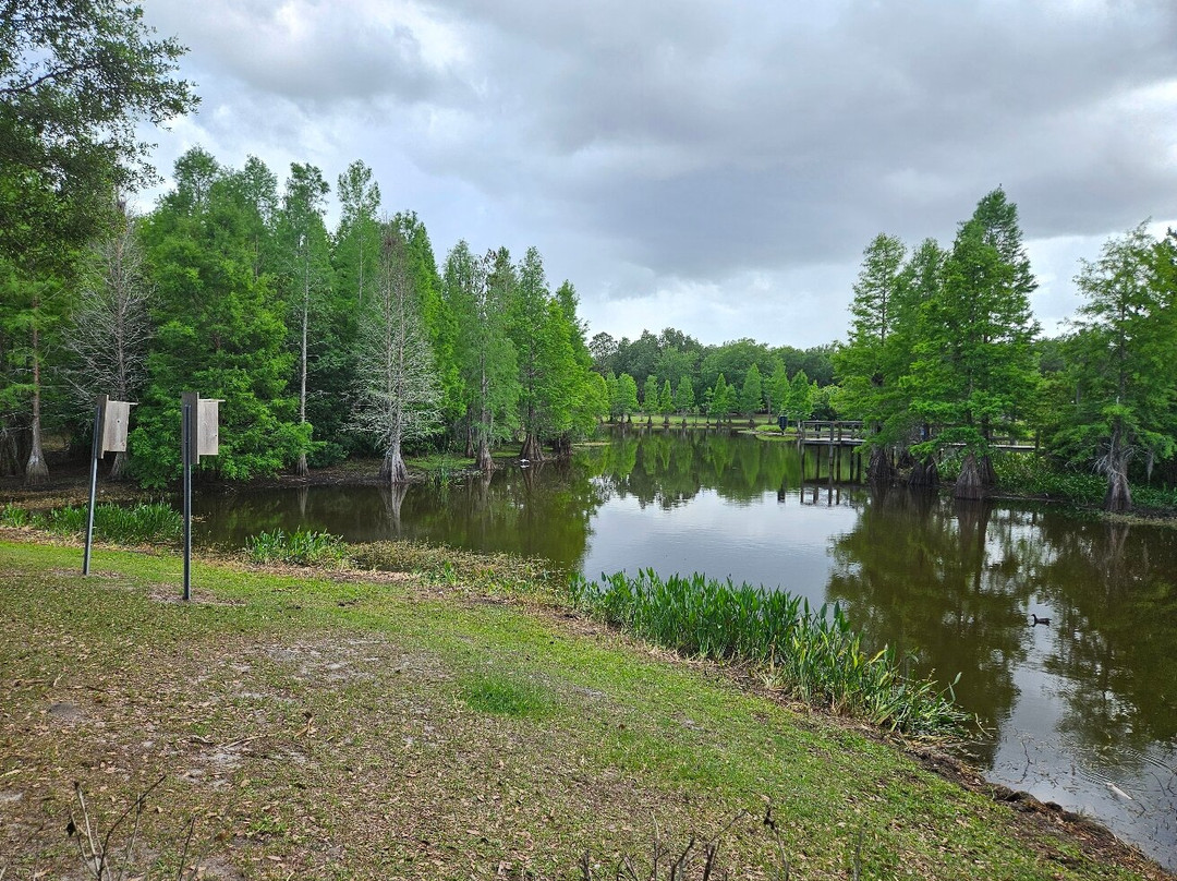 South Lake Howard Nature Park-温特黑文必去景点