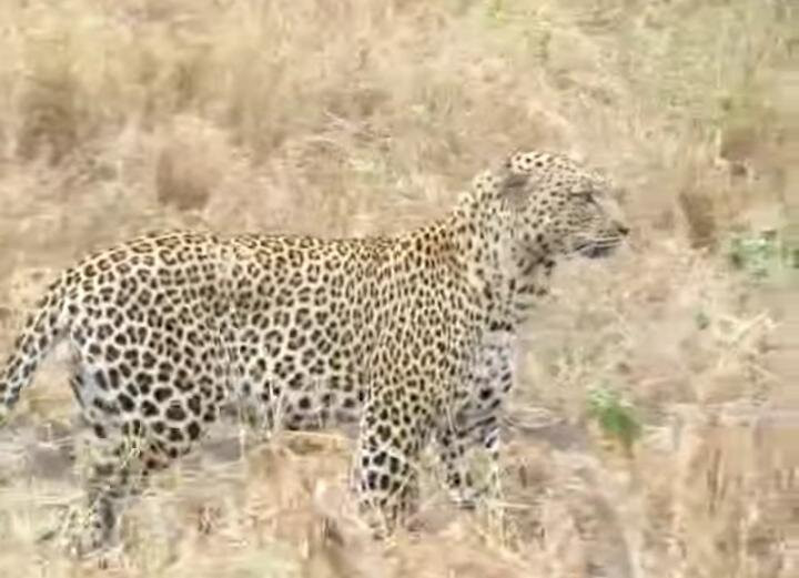 Seven Wonders Safaris-Usa River必去景点