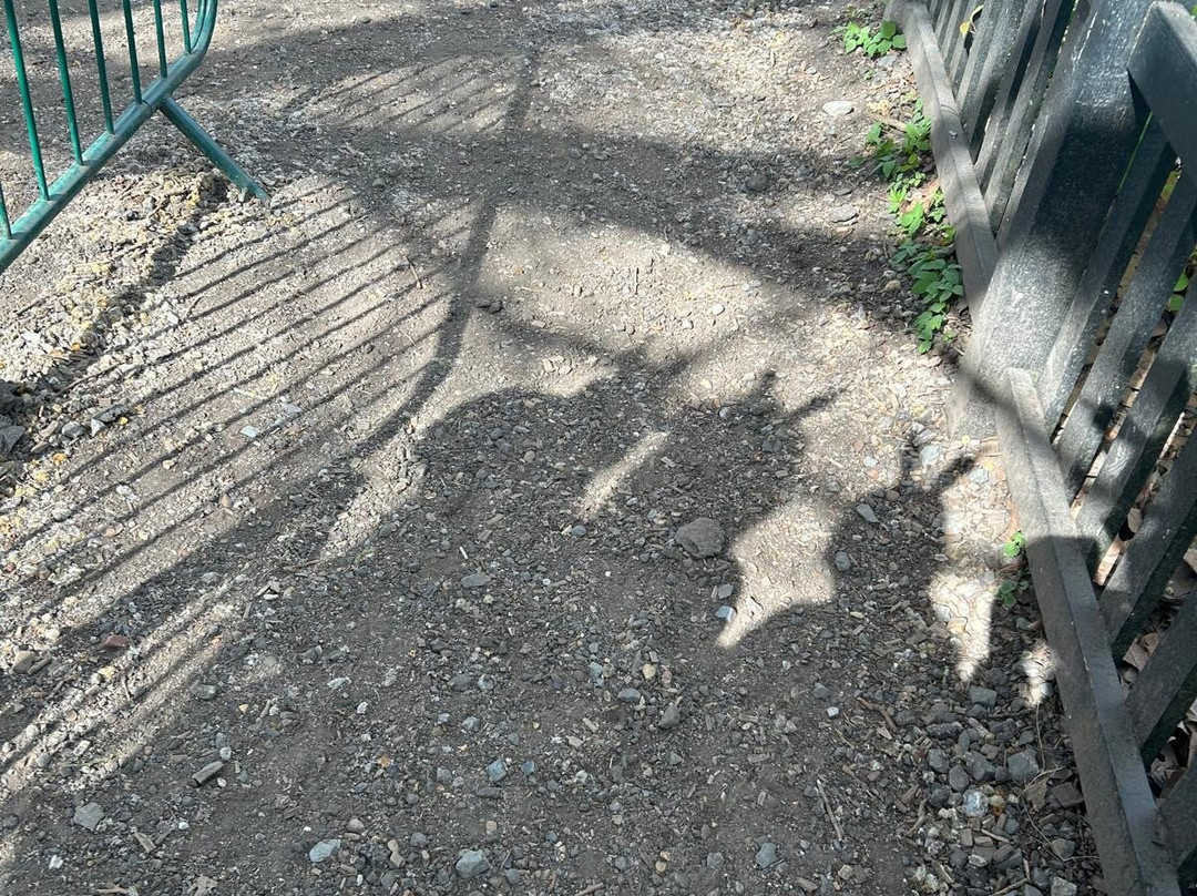 Audley End Miniature Railway-Saffron Walden必去景点