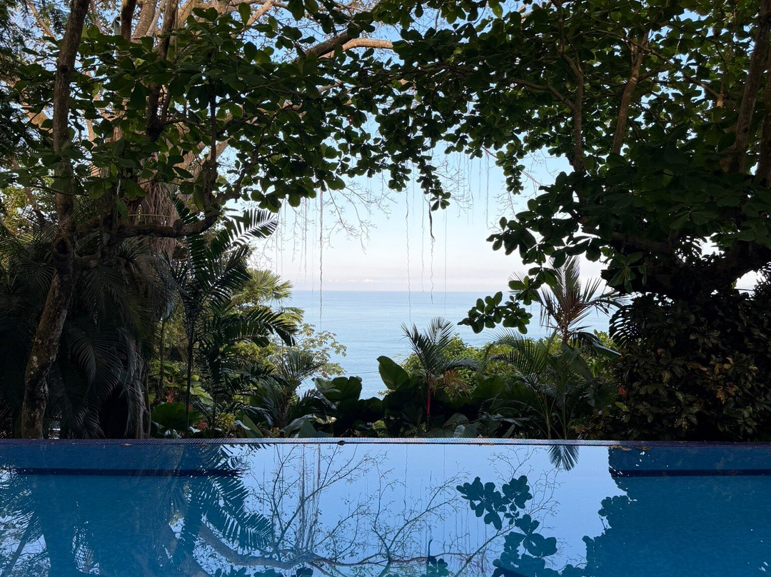 图莱马尔豪华度假屋主图