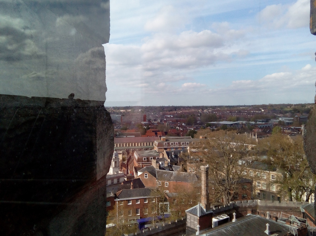 Norwich Castle Museum & Art Gallery-诺威奇必去景点