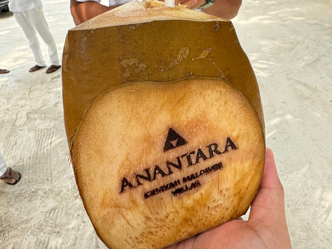 馬爾地夫克哈瓦島安納塔拉別墅度假酒店主图