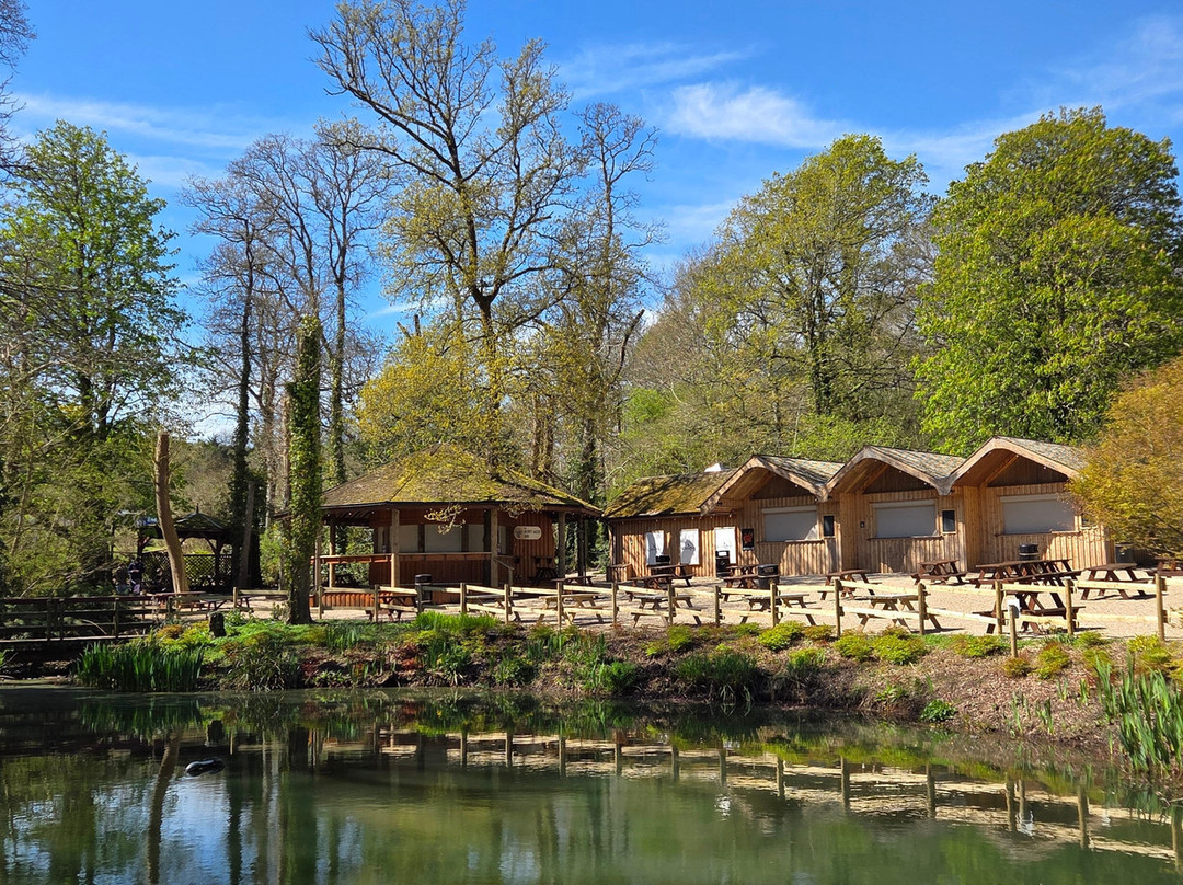 Robin Hill Adventure Park-纽波特必去景点