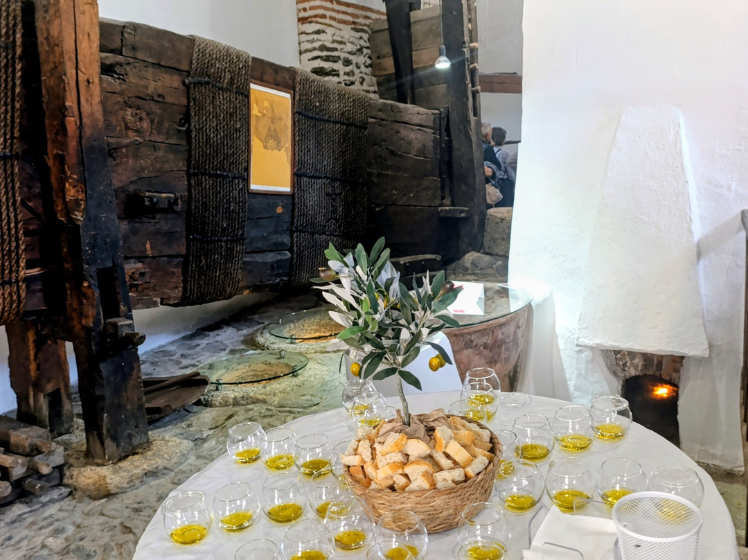 Almazara La Erilla, OleoTurismo en Granada-Niguelas必去景点