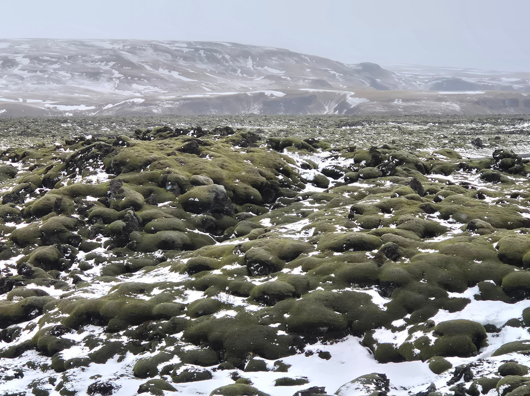 Eldhraun Lava Field