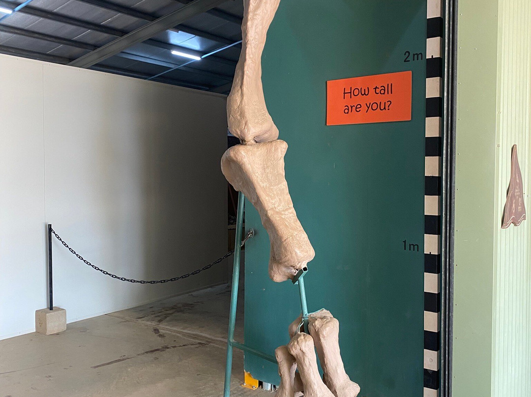 Australian Age of Dinosaurs-Winton必去景点