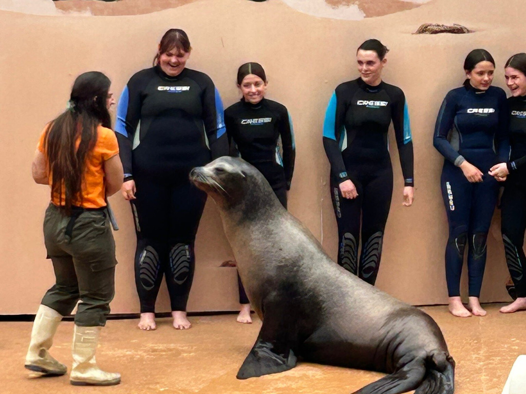 海洋世界水族馆-贝尼多姆必去景点