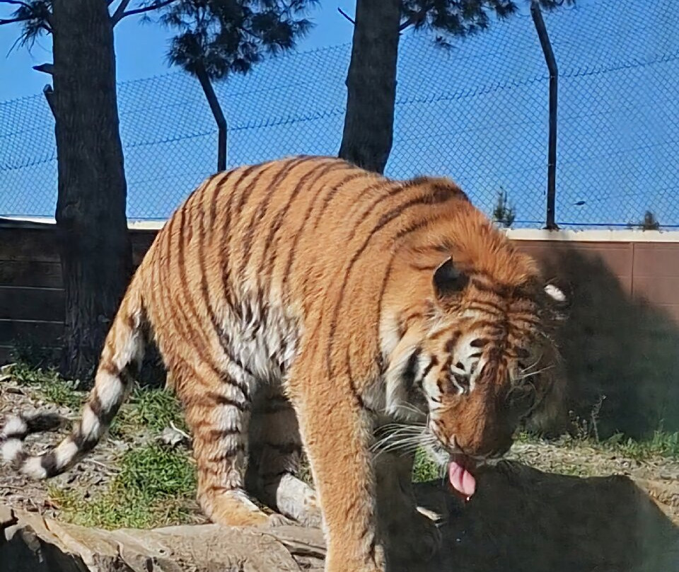 EcoZonia - Parc Animalier-Cases de Pene必去景点