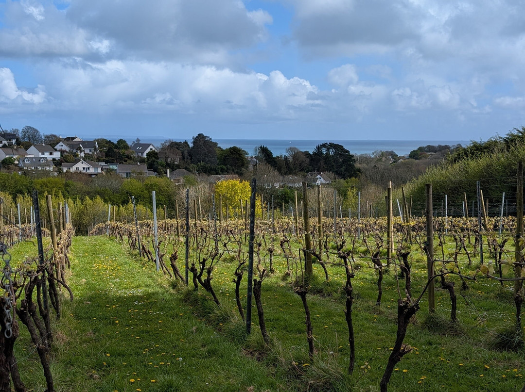 Polgoon Vineyard-彭赞斯必去景点