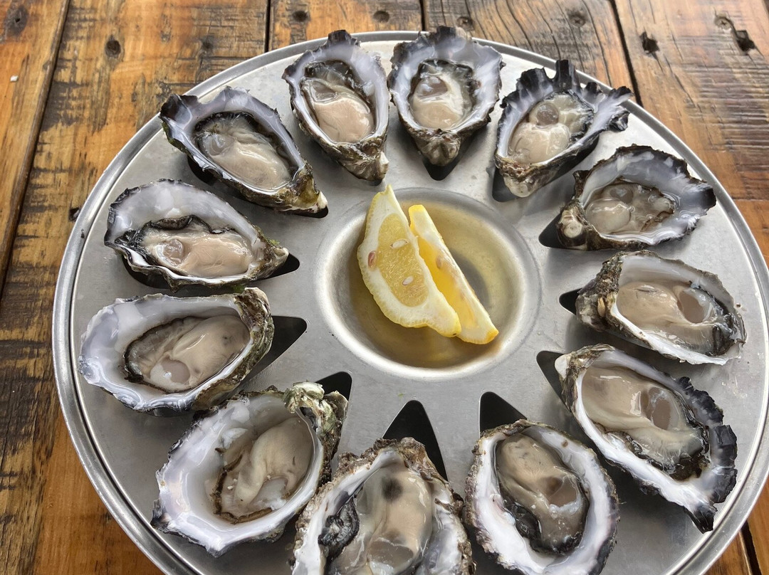 The Oyster Farm Shop-American River必去景点