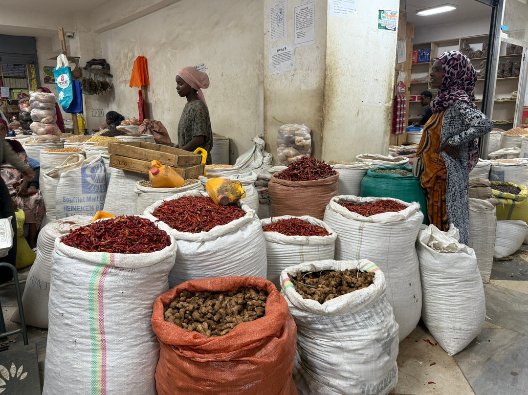 Bini Harar Tours