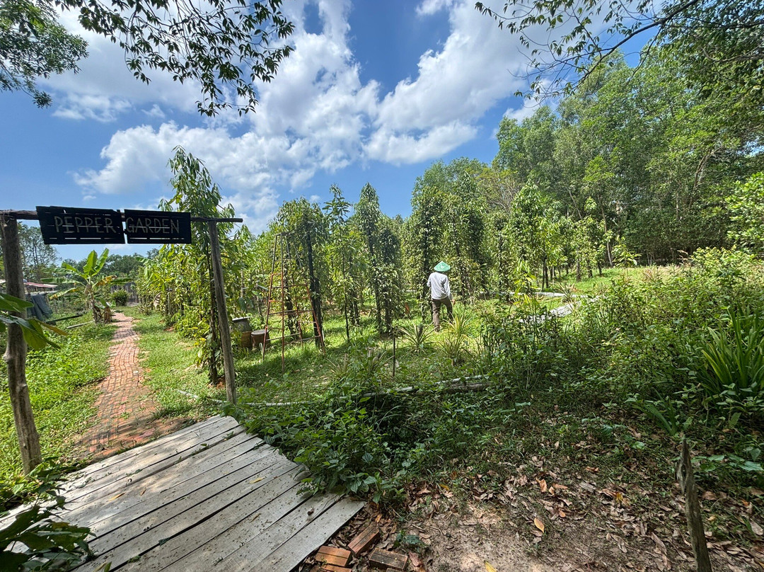 Phu Quoc Countryside-富国岛必去景点