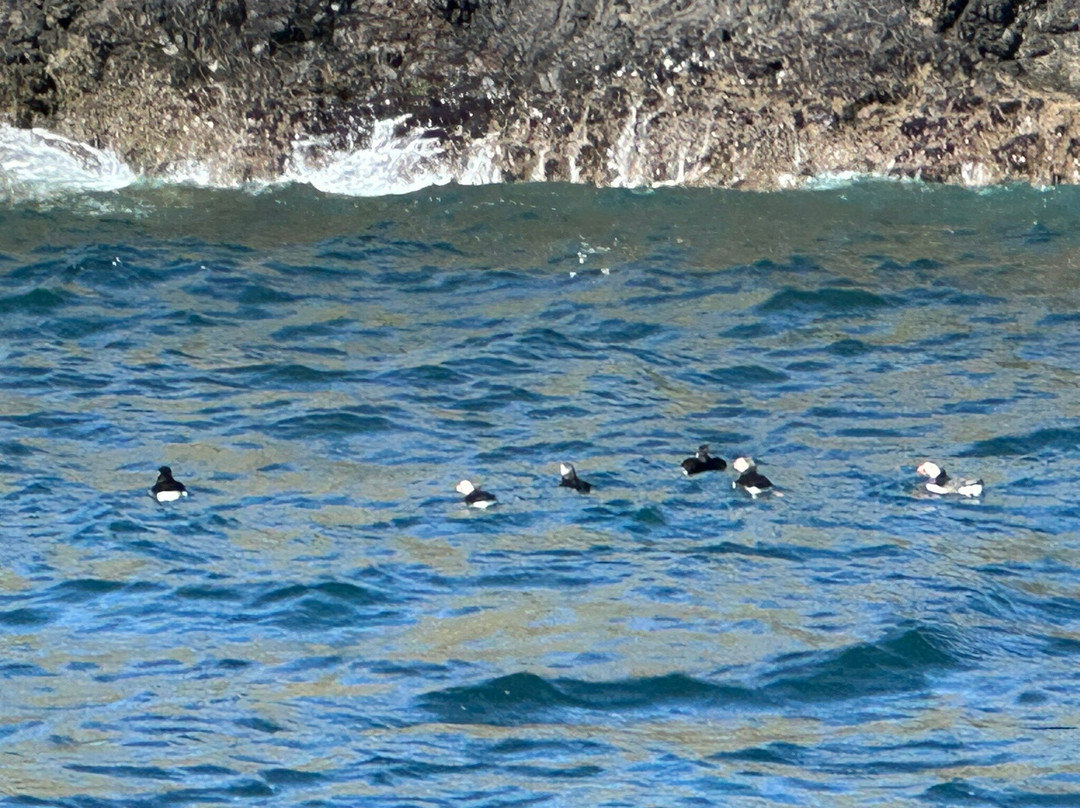 Staffa Trips-Isle of Iona必去景点