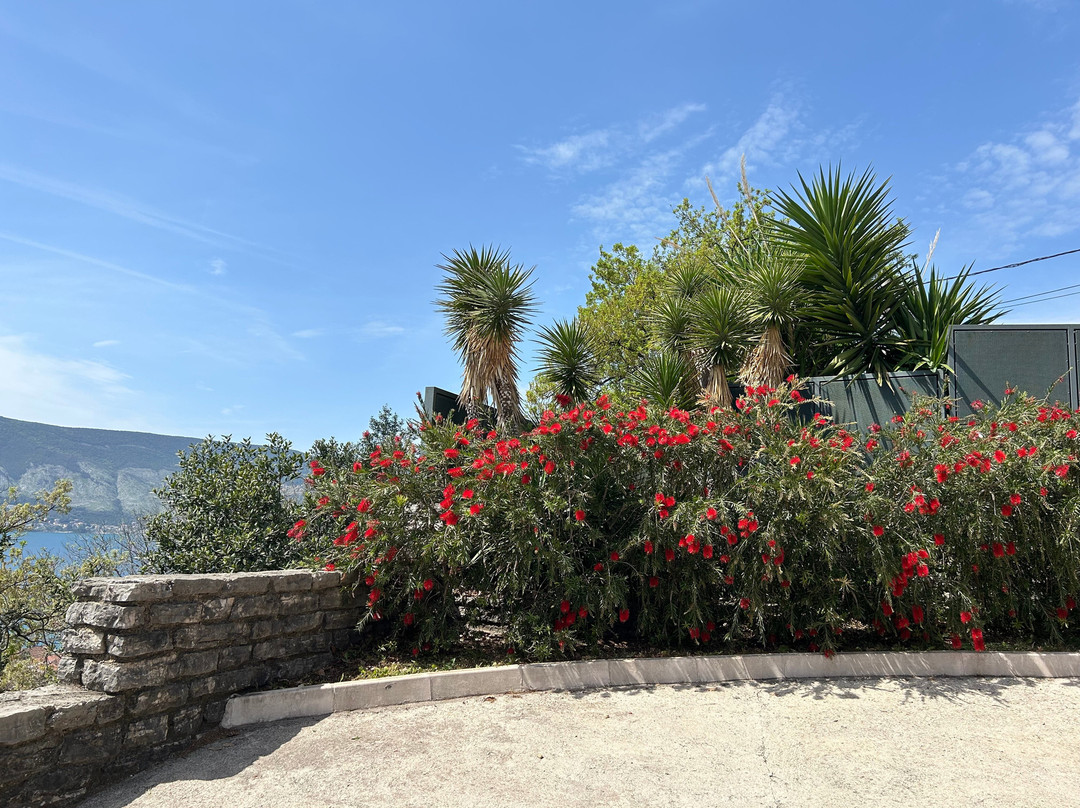 Savina Winery-赫尔采格诺维必去景点