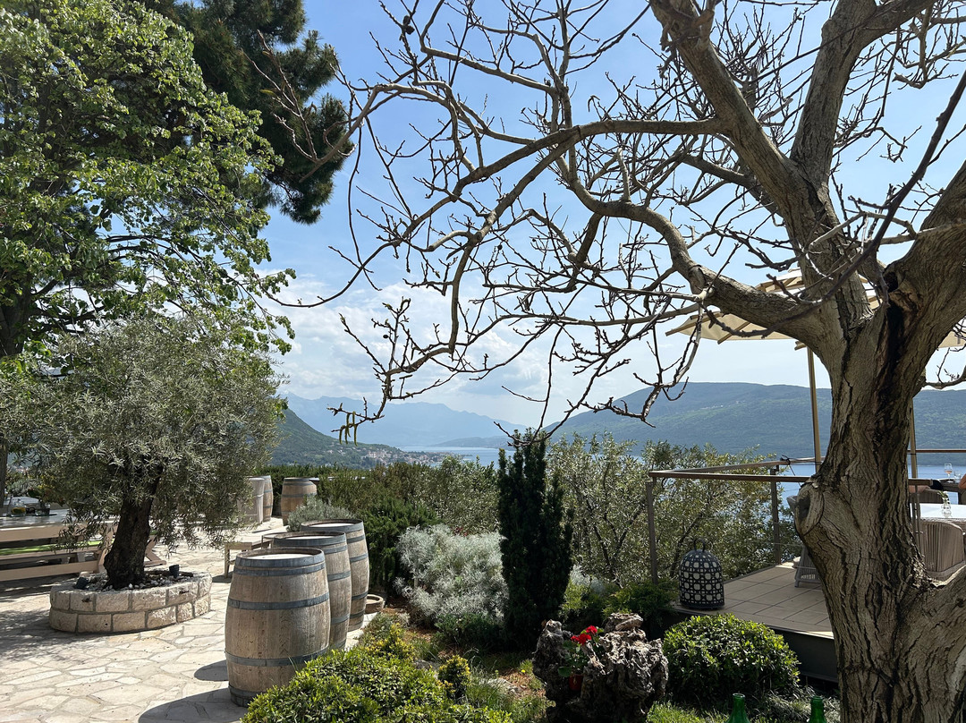 Savina Winery-赫尔采格诺维必去景点
