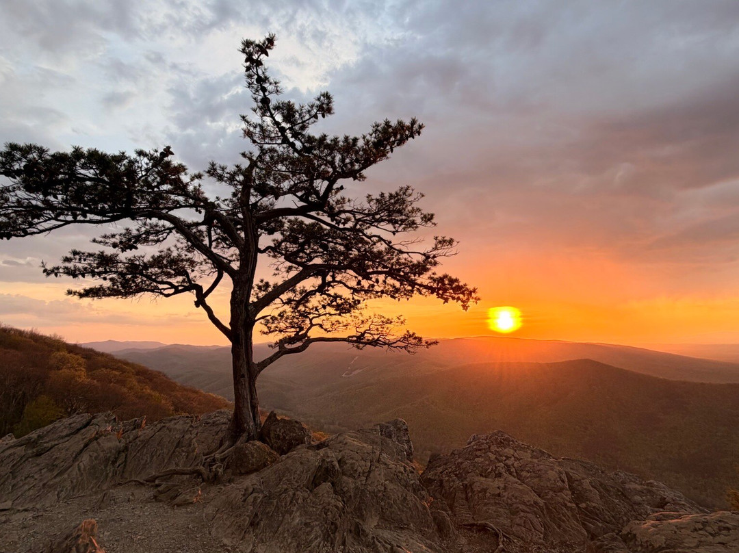 Raven's Roost Overlook-Lyndhurst必去景点