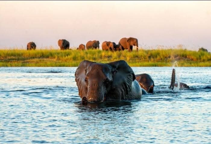 Okavango Delta-马翁必去景点