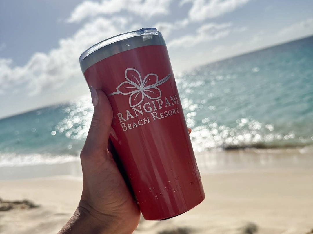 Frangipani Beach Resort主图