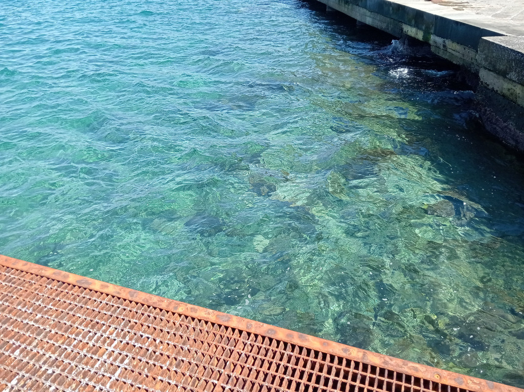 Marina Grande - Antico Borgo Marinaro-索伦托必去景点