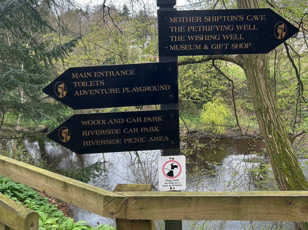 Mother Shipton's Cave-Knaresborough必去景点
