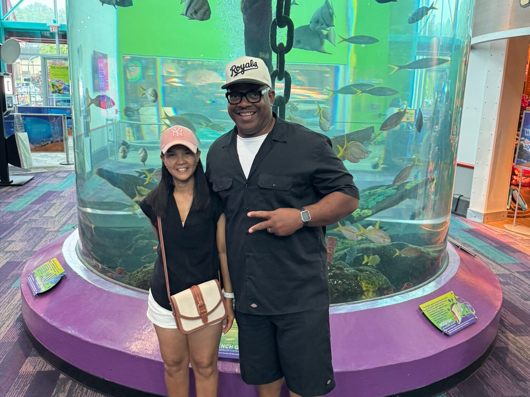 莱利大烟山水族馆-盖林柏格必去景点