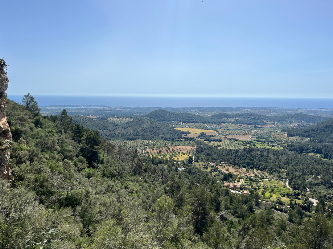 Castell de Santueri-Felanitx必去景点