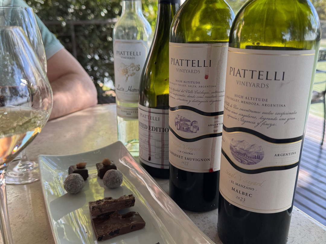 Bodega Piattelli Agrelo, Mendoza-阿格雷洛必去景点