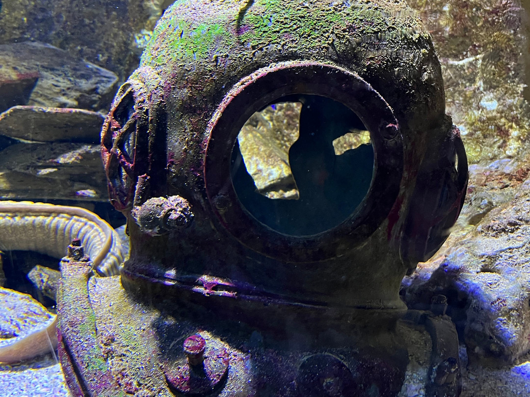 Grand Aquarium-圣马洛必去景点