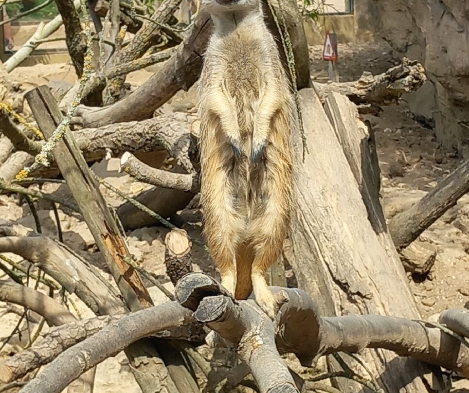Les Jardins Animaliers Biotropica-Val de Reuil必去景点