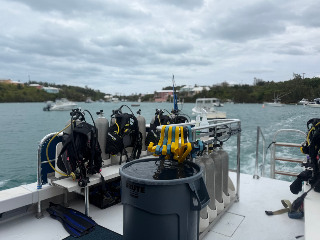 Dive Bermuda at Somerset-Sandys Parish必去景点