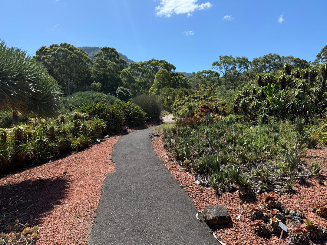 Wollongong Botanic Garden-卧龙岗市必去景点