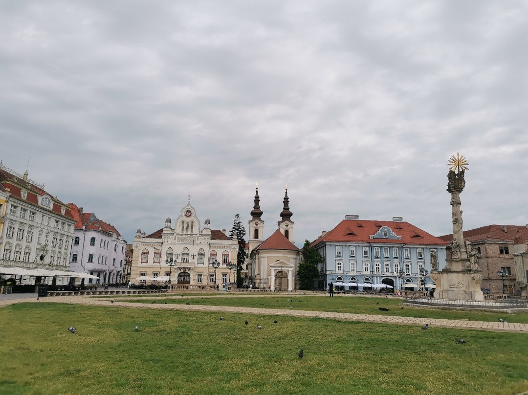 Timisoara Free Tours-蒂米什瓦拉必去景点