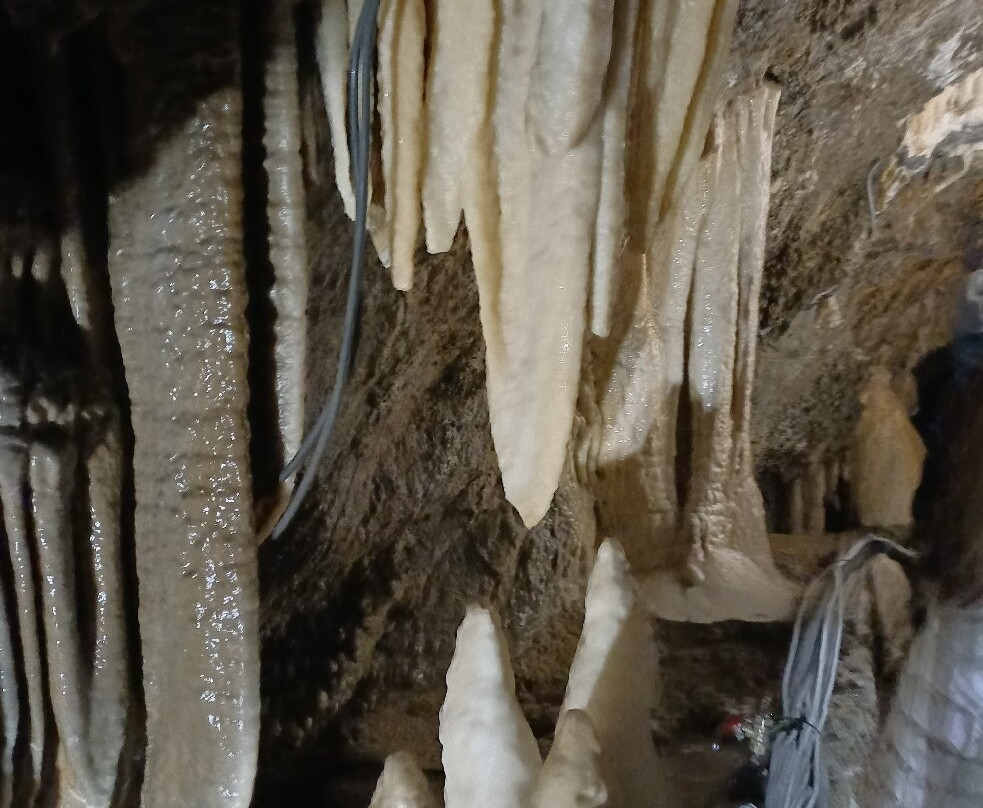 Grotta Antro del Corchia-Levigliani必去景点