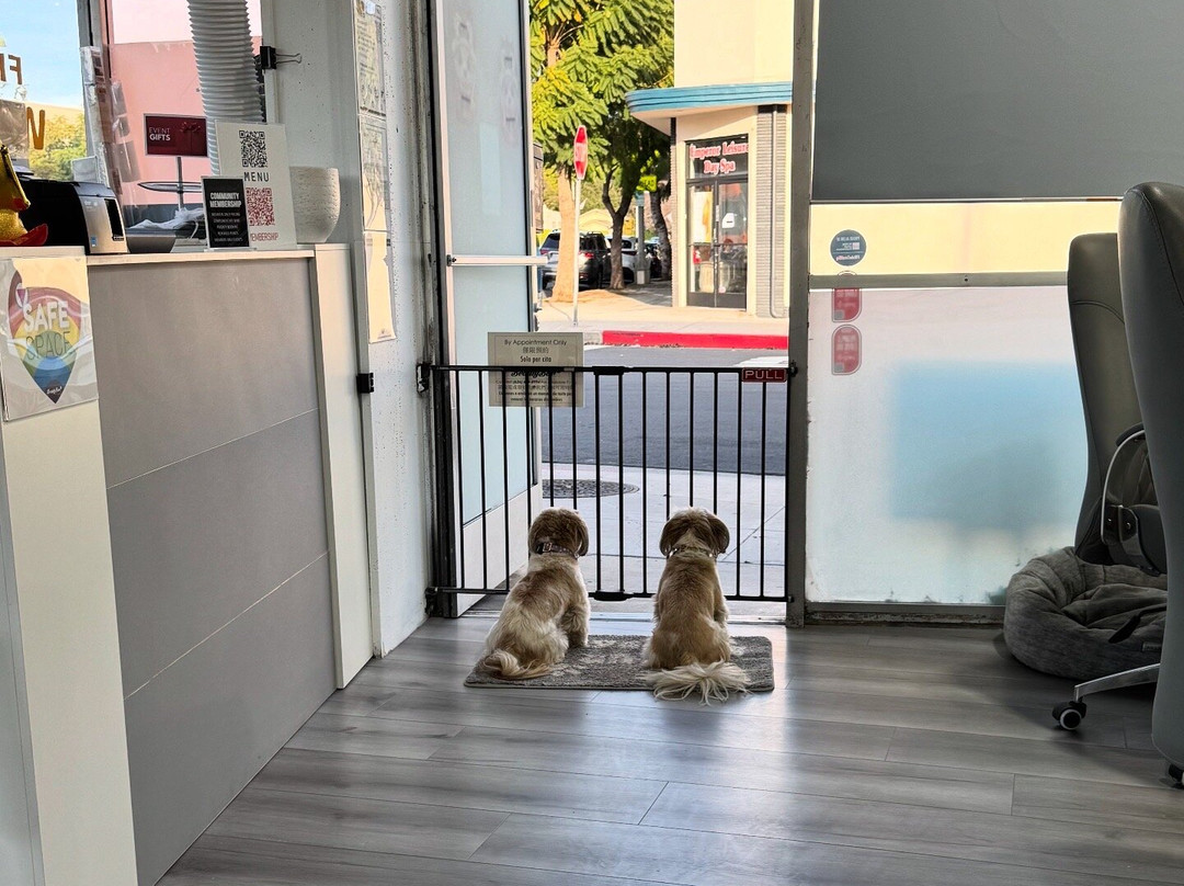BeautyBar SGV-圣盖博必去景点