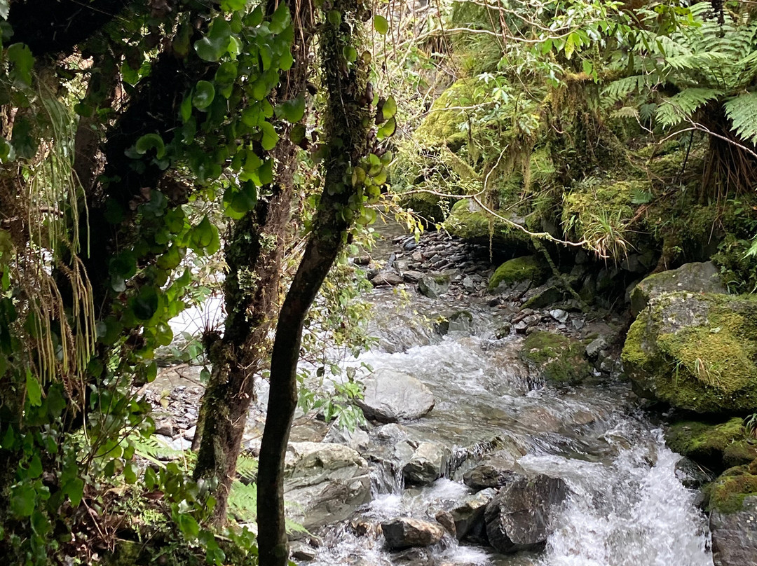 马瑟森湖-福克斯冰川必去景点